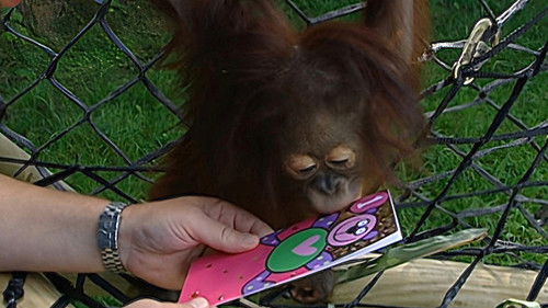 Background image for Episode 8