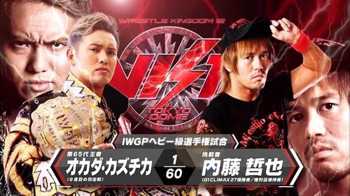 Background image for Wrestle Kingdom 12 In Tokyo Dome