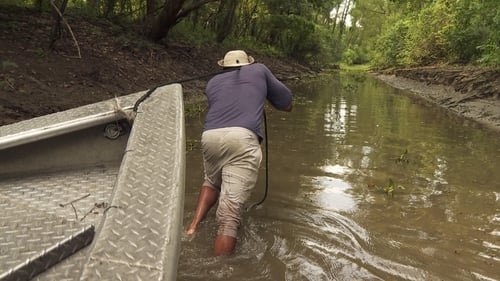 Gators in Low Places