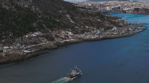Background image for Call Of The Sea