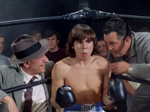 Monkees in the Ring