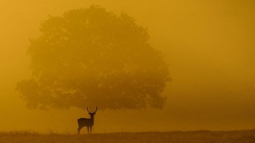 Background image for Episode 3