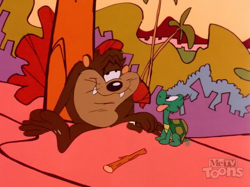 The Dog the Turtle Story