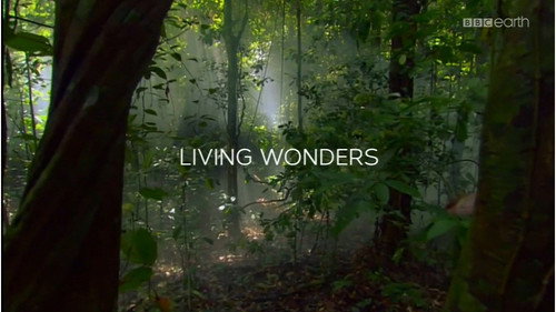Living Wonders