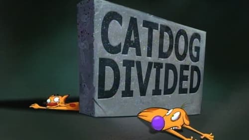 CatDog Divided