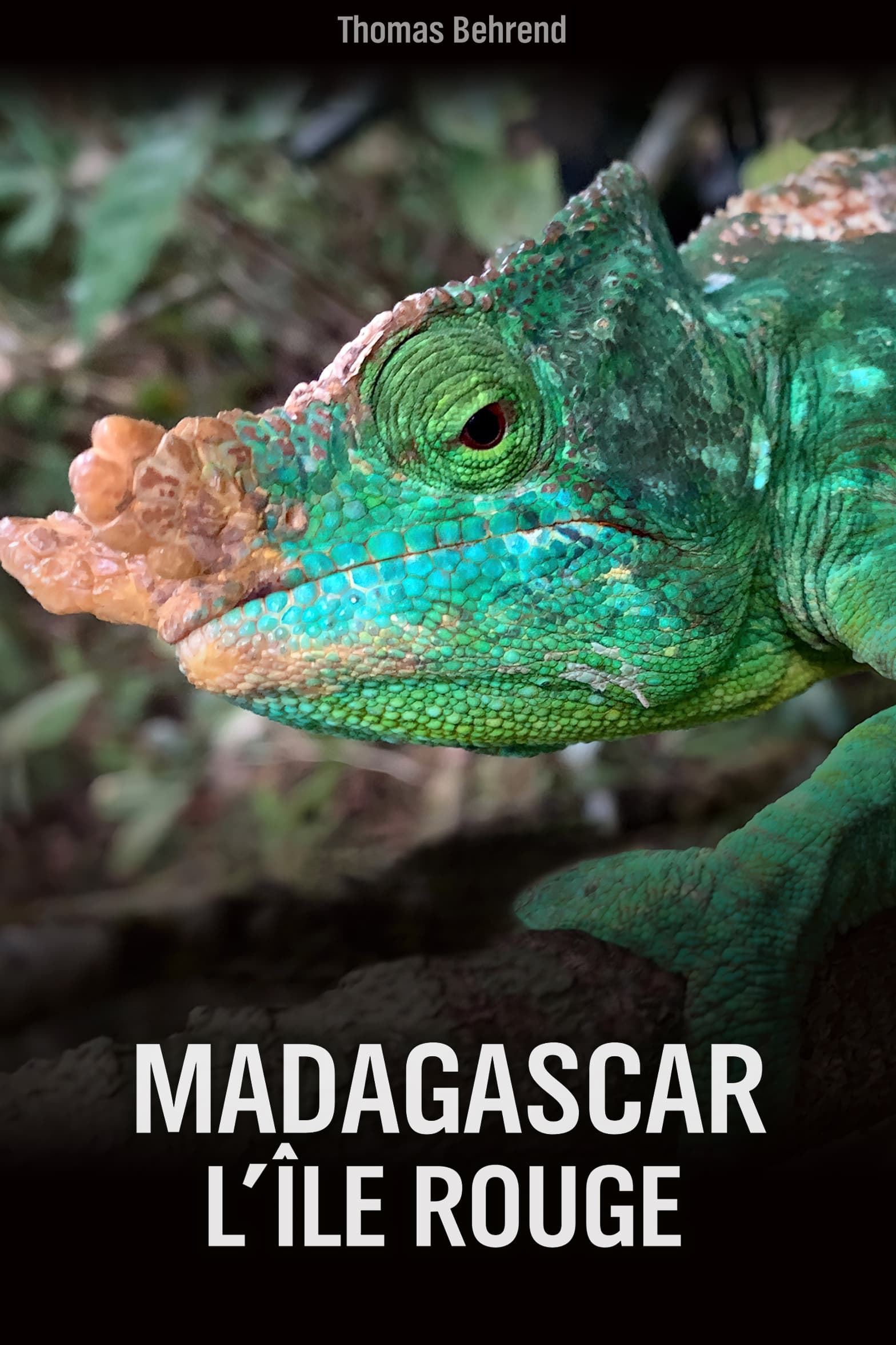 Show cover for Unbekanntes Madagaskar