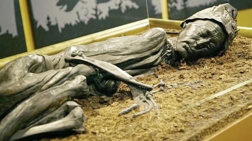 Bog Bodies