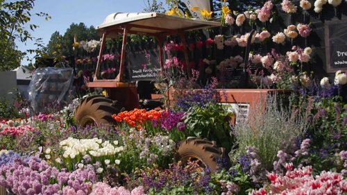 Background image for Episode 19 Winter: Designer gardens & strawberry baskets