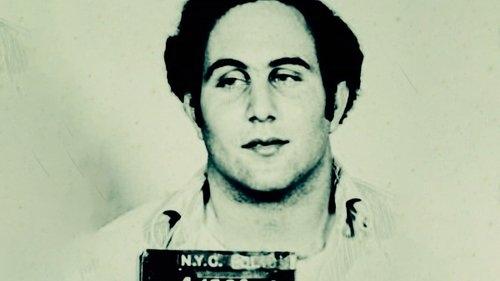 David Berkowitz