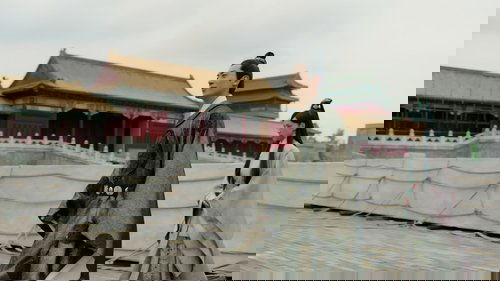 Background image for Episode 25