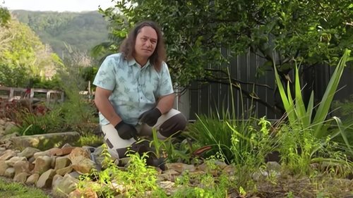 Background image for Episode 25 Weed label, Flood, Fruit fly, Terrarium & Rav