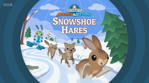 Snowshoe Hares