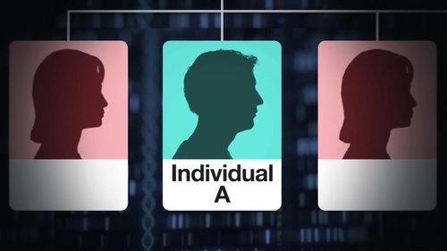 Background image for A Killer in the Family Tree