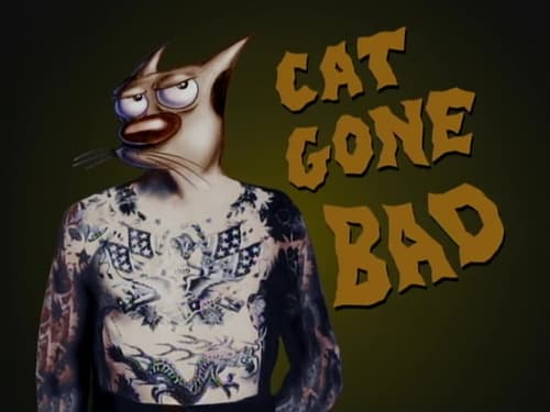 Cat Gone Bad