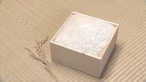 Background image for Rice Cultivation