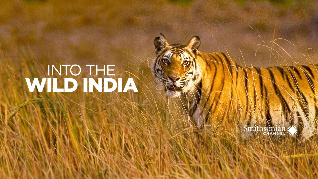 Into the Wild: India backdrop