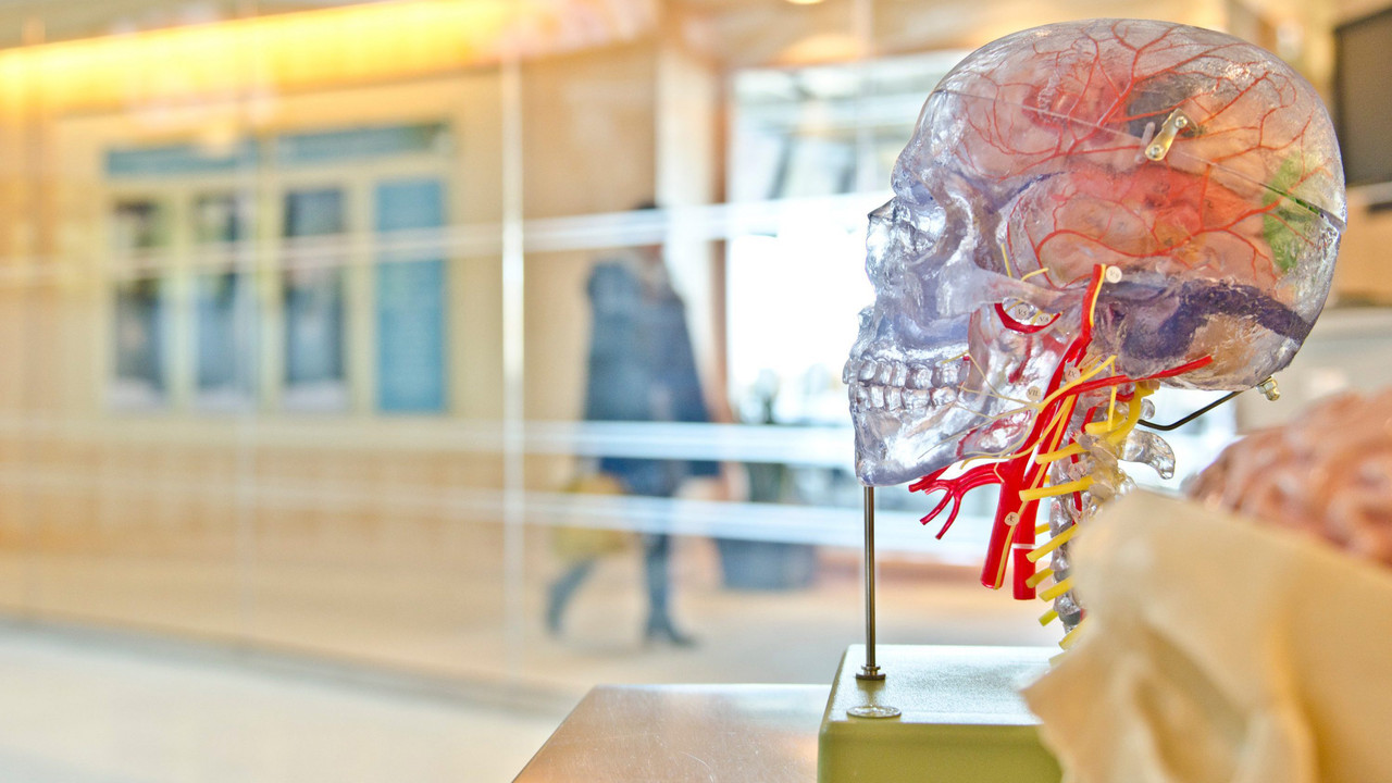 Secrets of the Brain backdrop