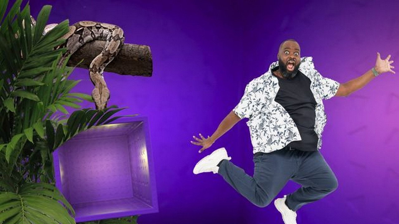 The 100 videos that made the whole world laugh backdrop