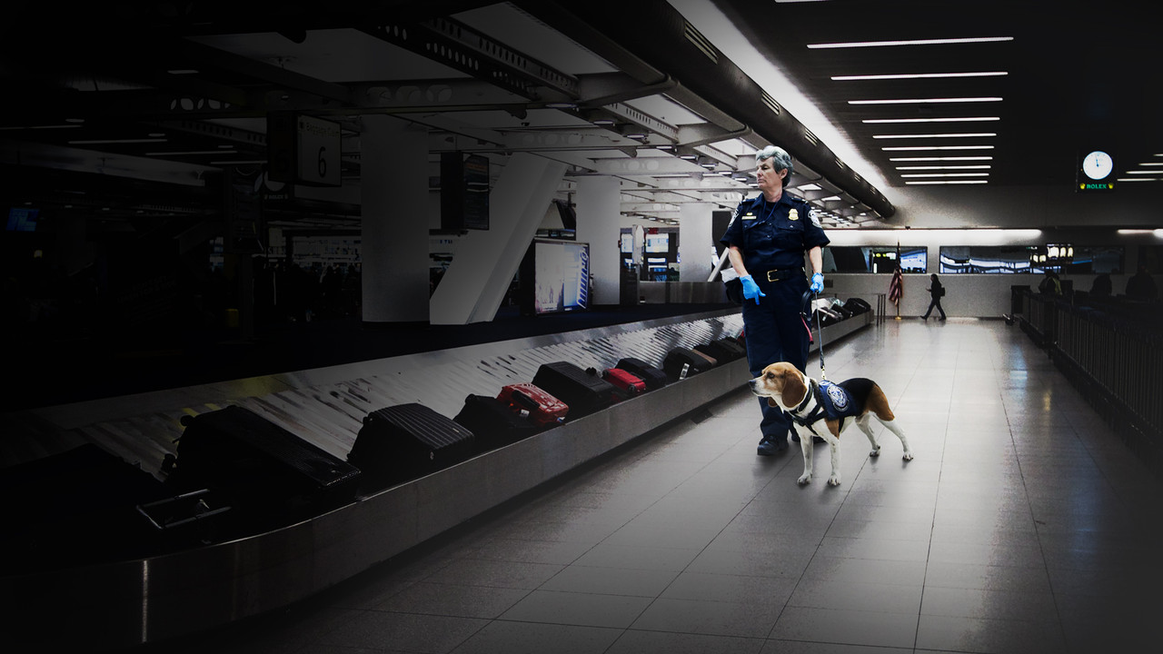 To Catch a Smuggler backdrop