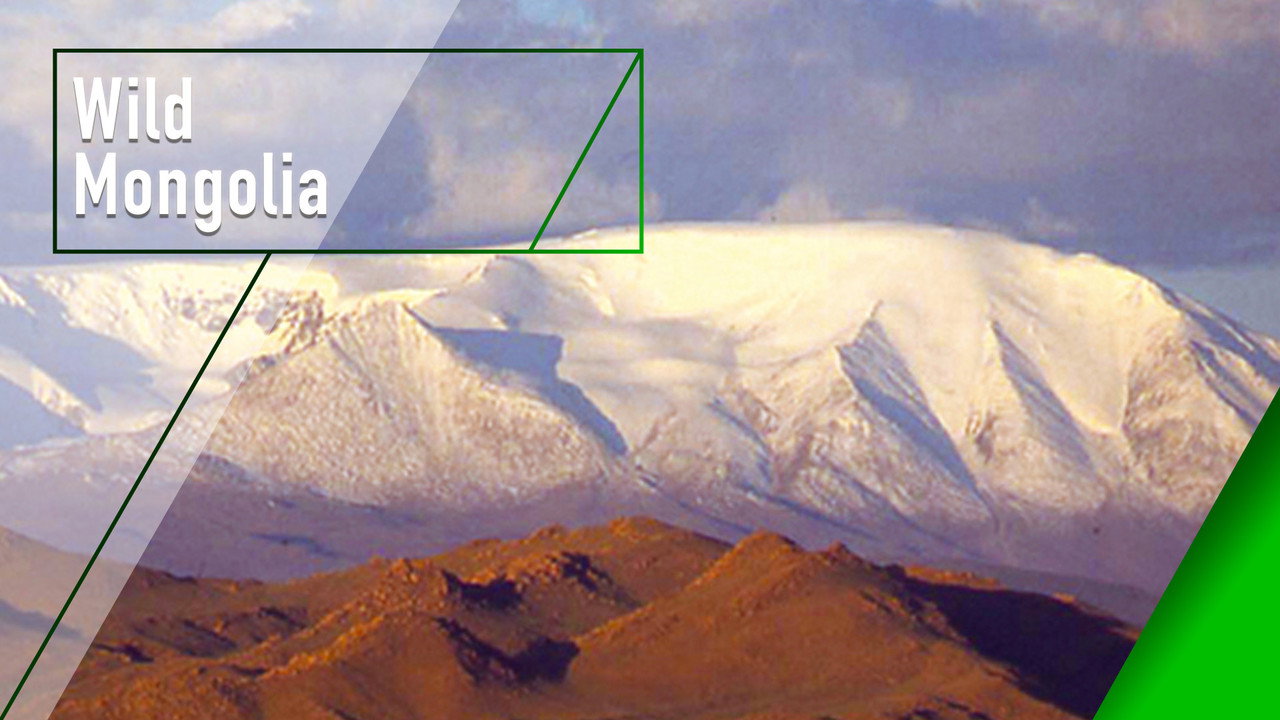 Wild Mongolia: Land of Extremes backdrop