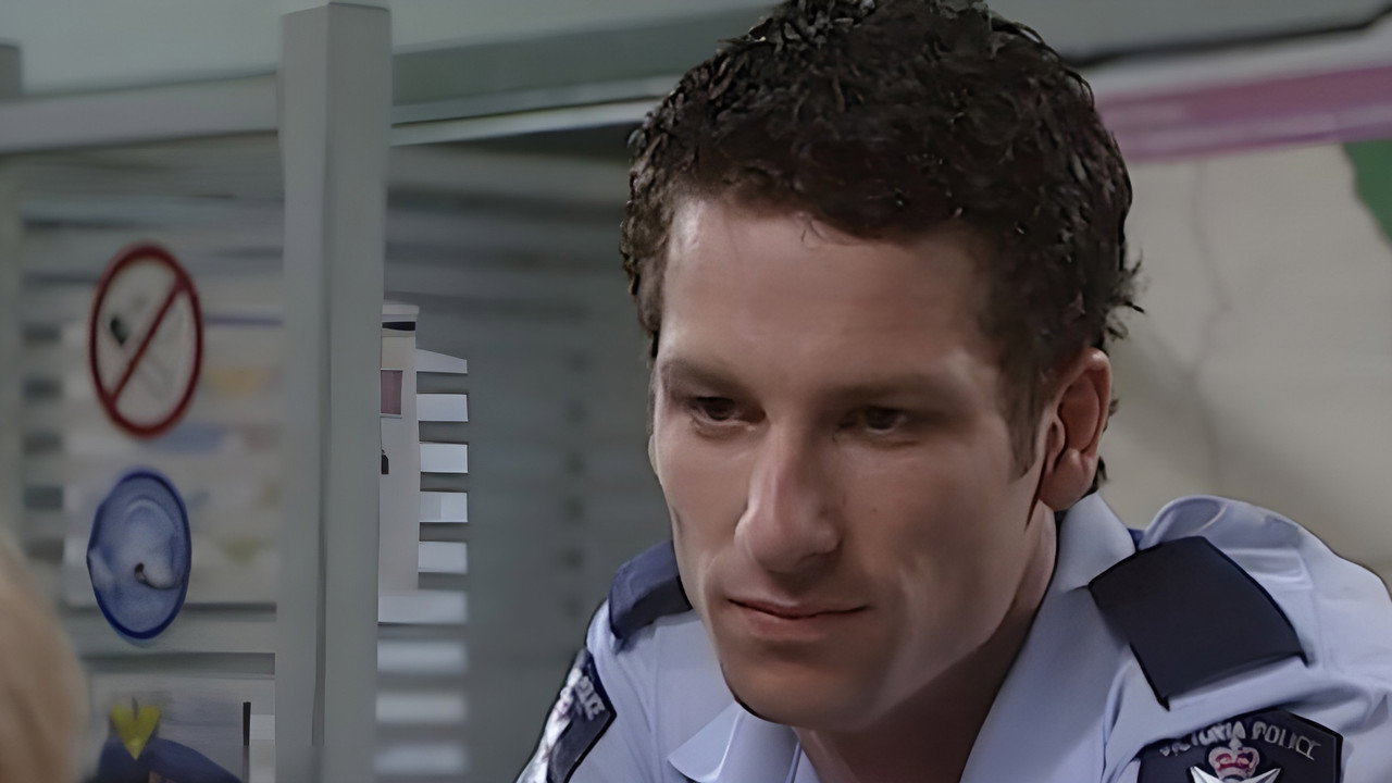 Blue Heelers backdrop