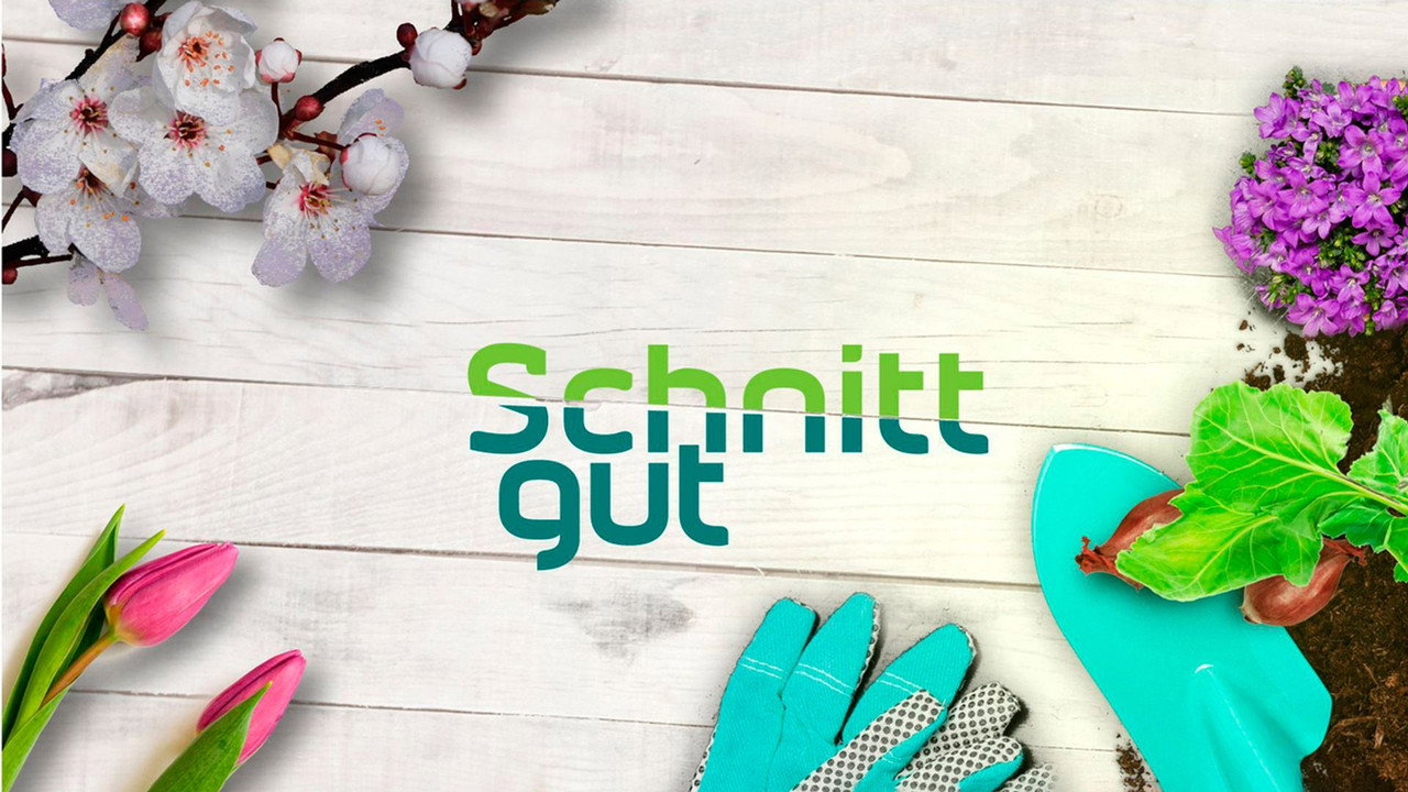 Schnittgut backdrop