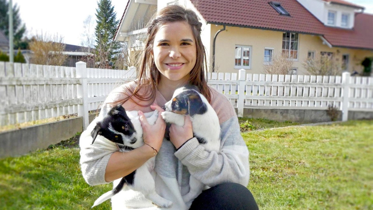 Anna und die Haustiere backdrop