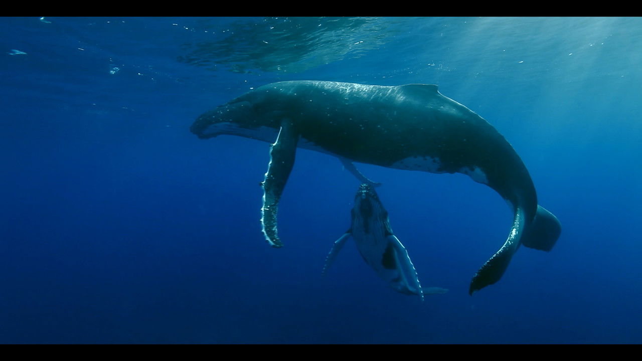 Titans of the Deep backdrop