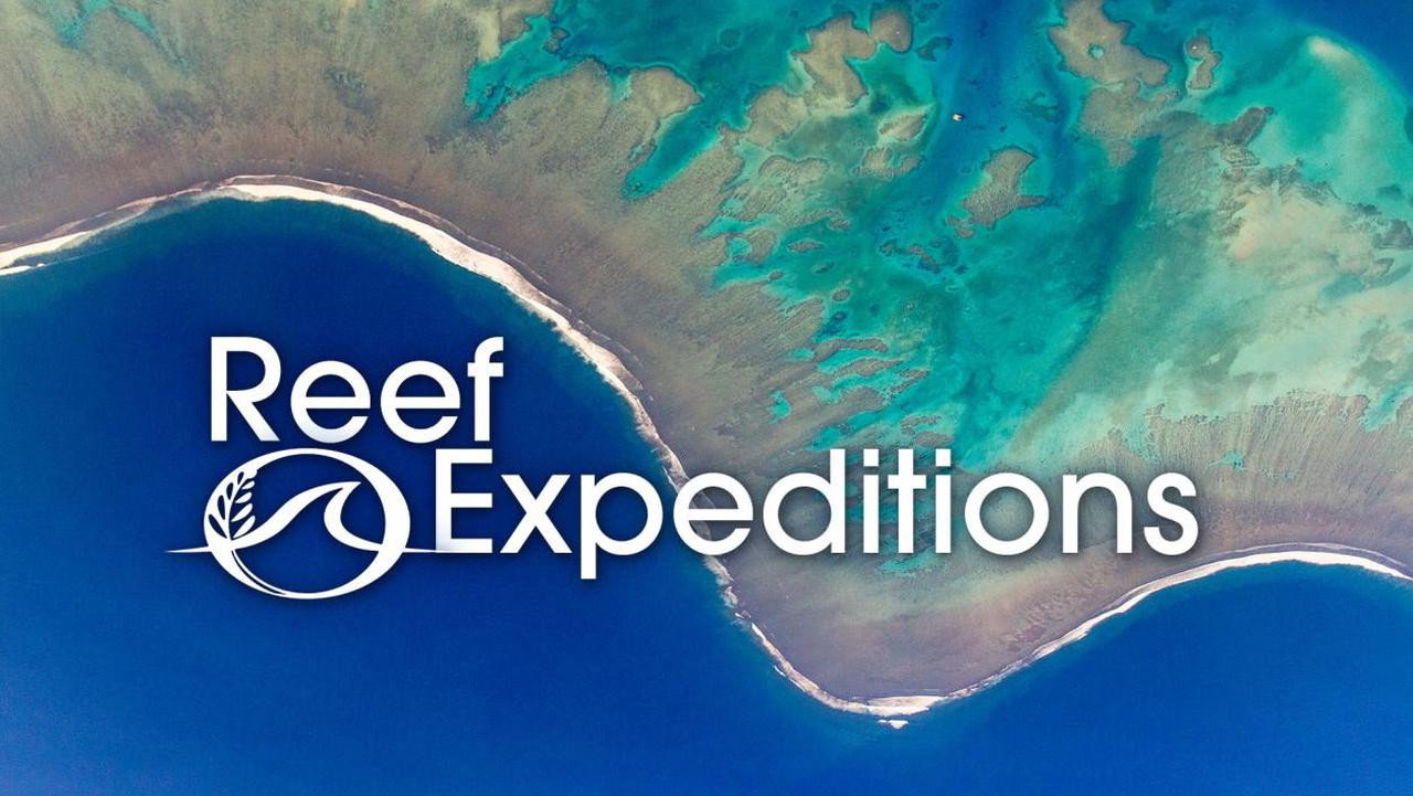 Reef Expeditions backdrop