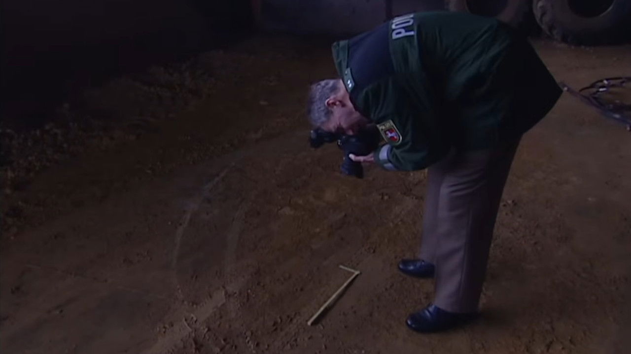 Einsatz in Ostfreisland: Mit der Dorfpolizei unterwegs backdrop