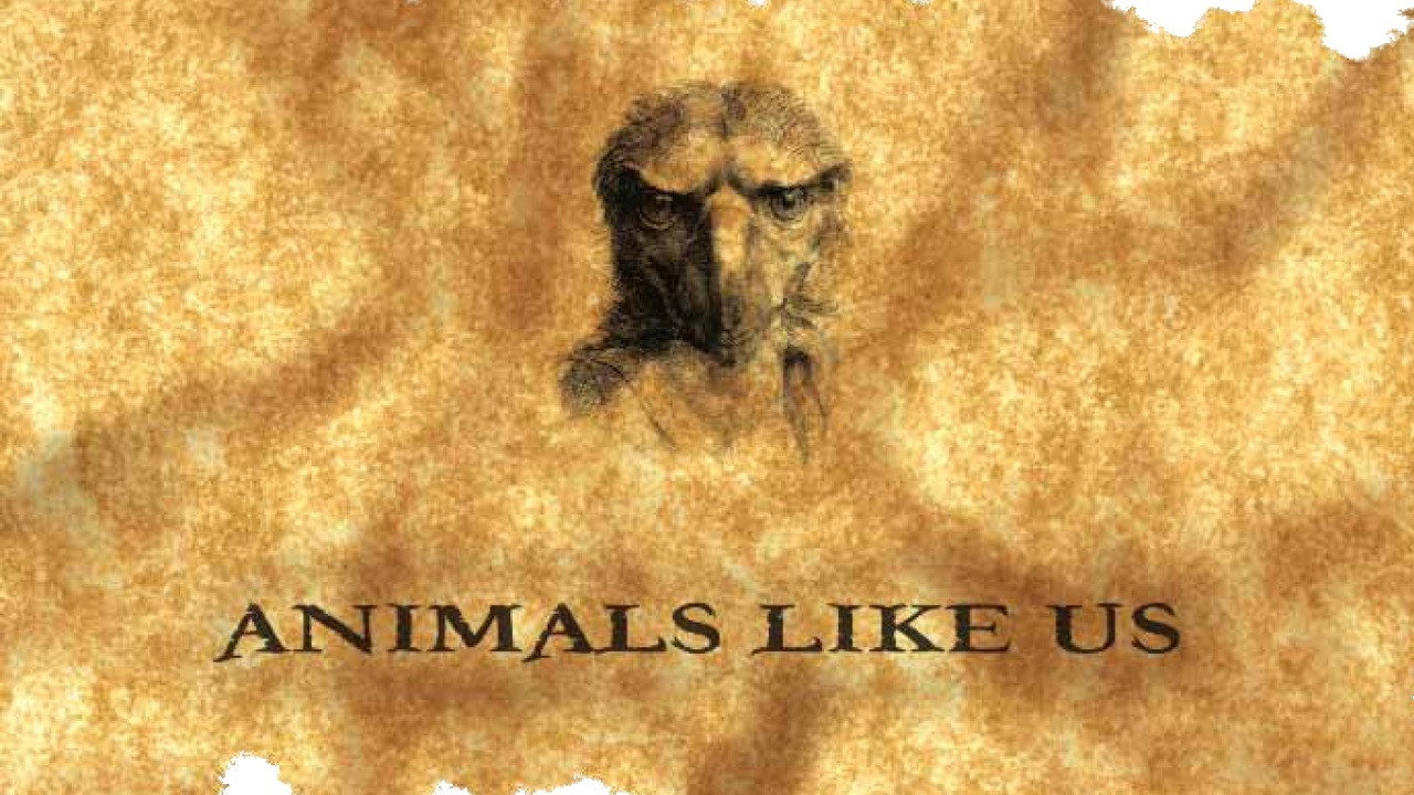 Animals Like Us backdrop
