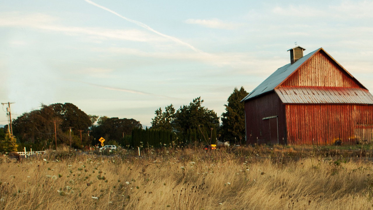 Farm Crime backdrop
