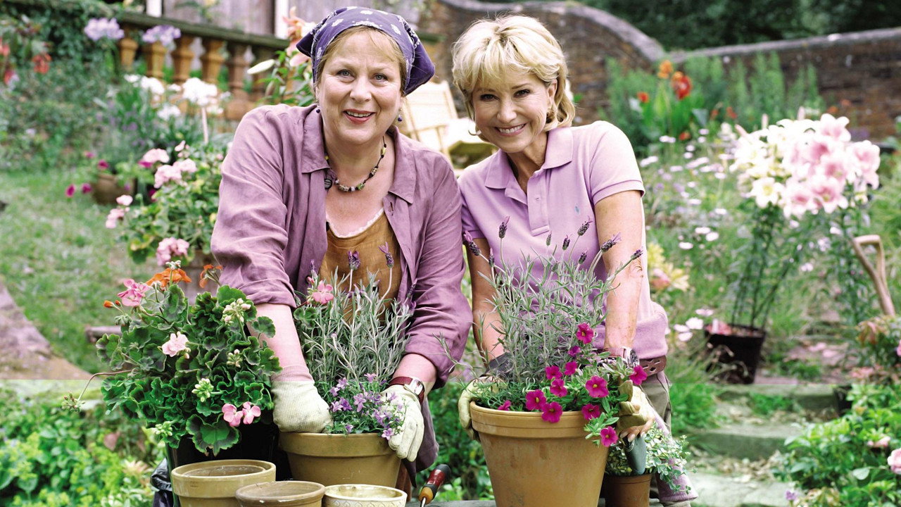 Rosemary & Thyme backdrop