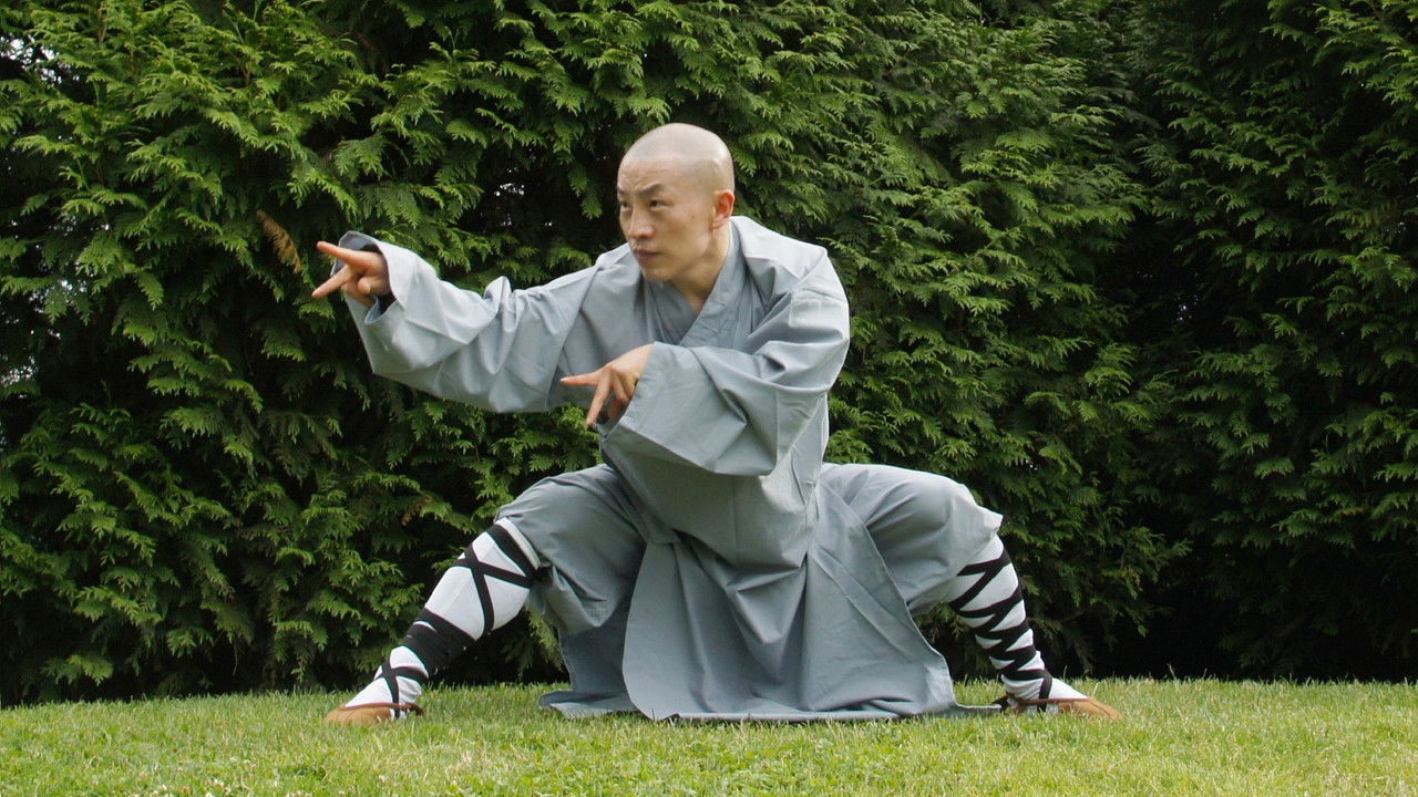 Kung Fu Quest backdrop