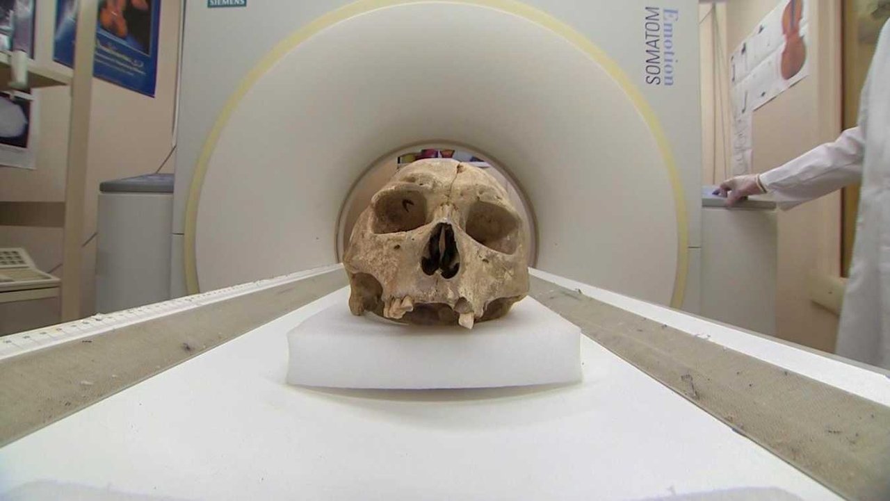 Forensic Firsts backdrop