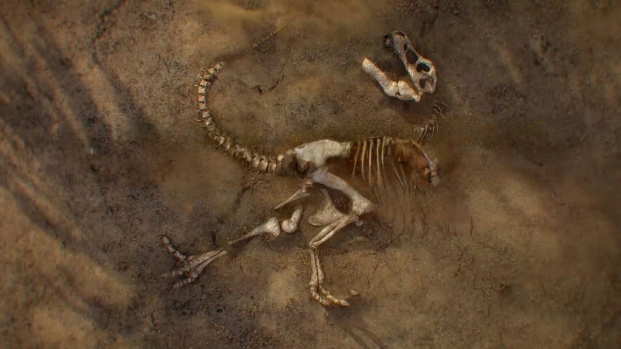 Lost Beasts Unearthed backdrop