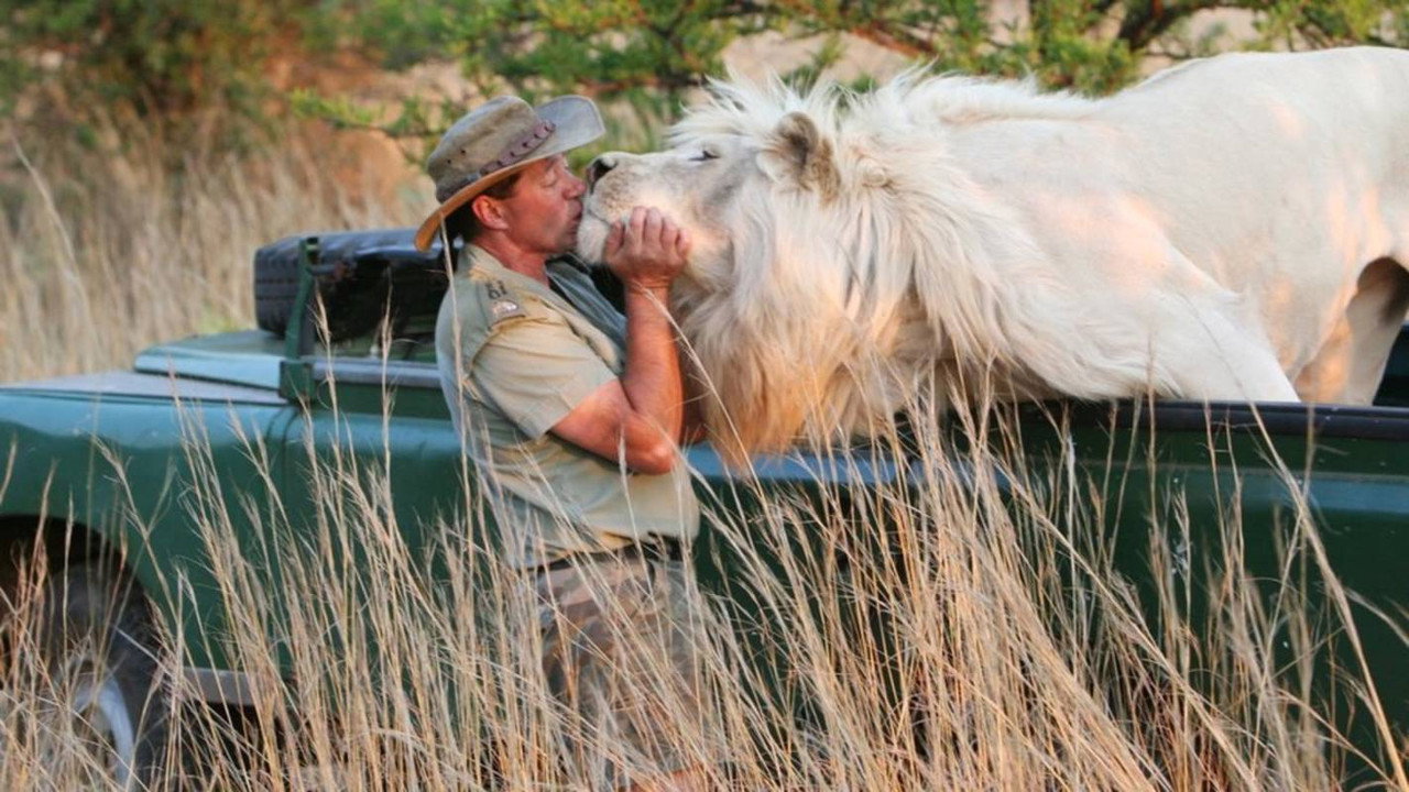 The Lion Man: African Safari backdrop