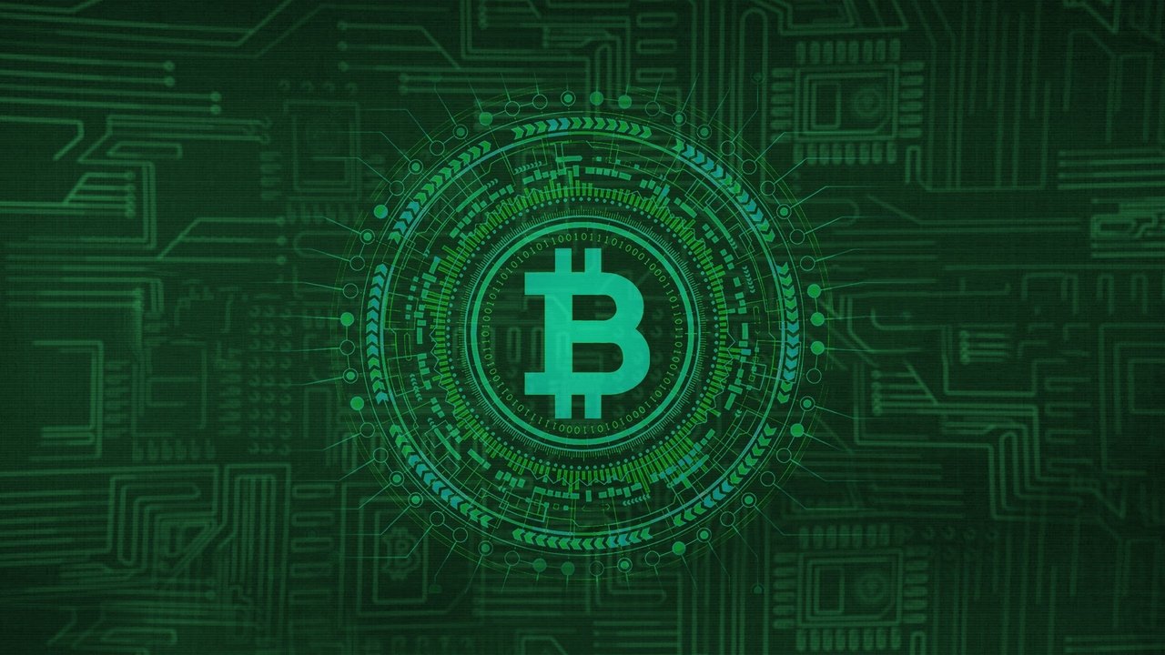 Cryptokoorts backdrop