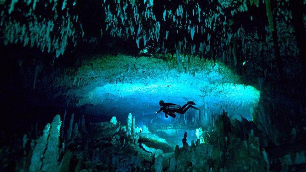 Bahama Blue backdrop