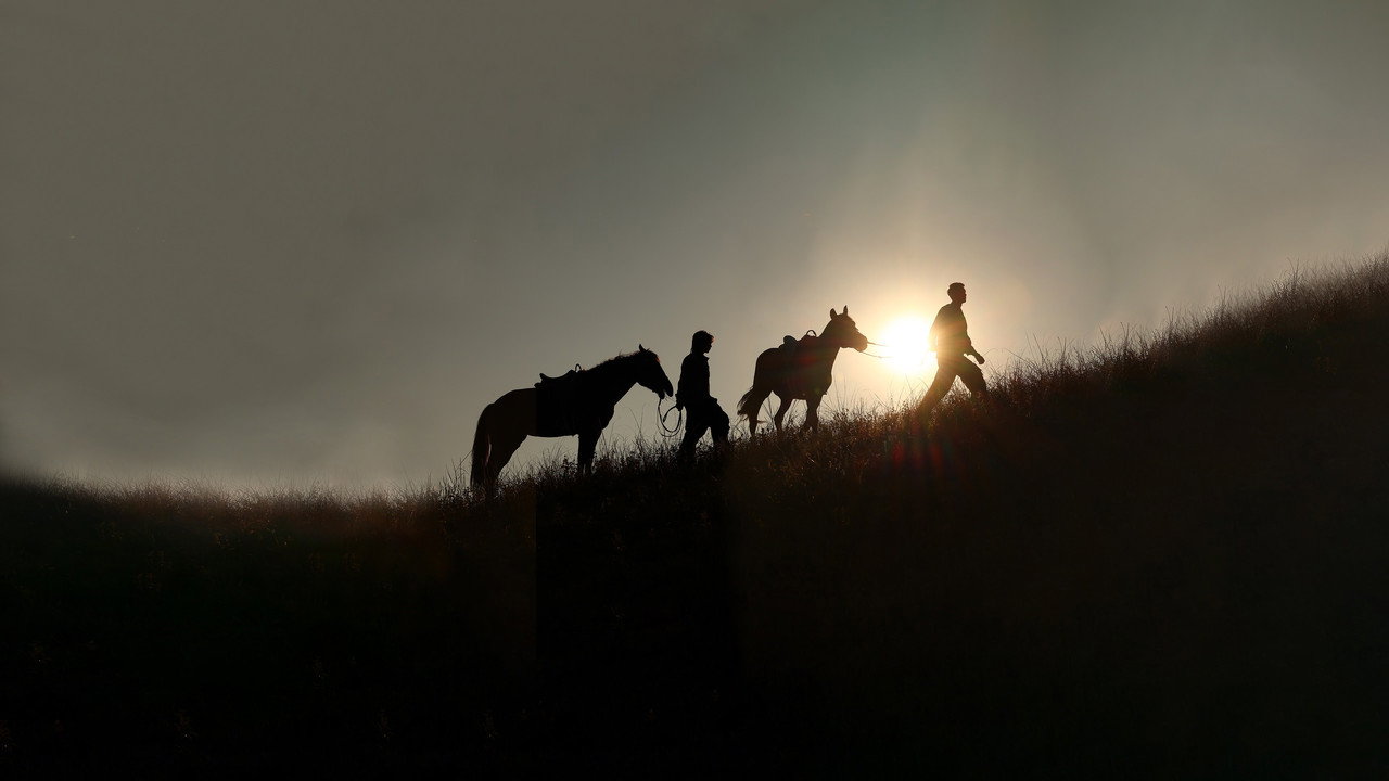A Winter Sun Wakes the Wind in Spring Hills' Dream backdrop