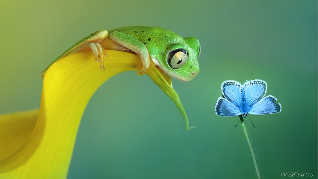 Macro Worlds backdrop