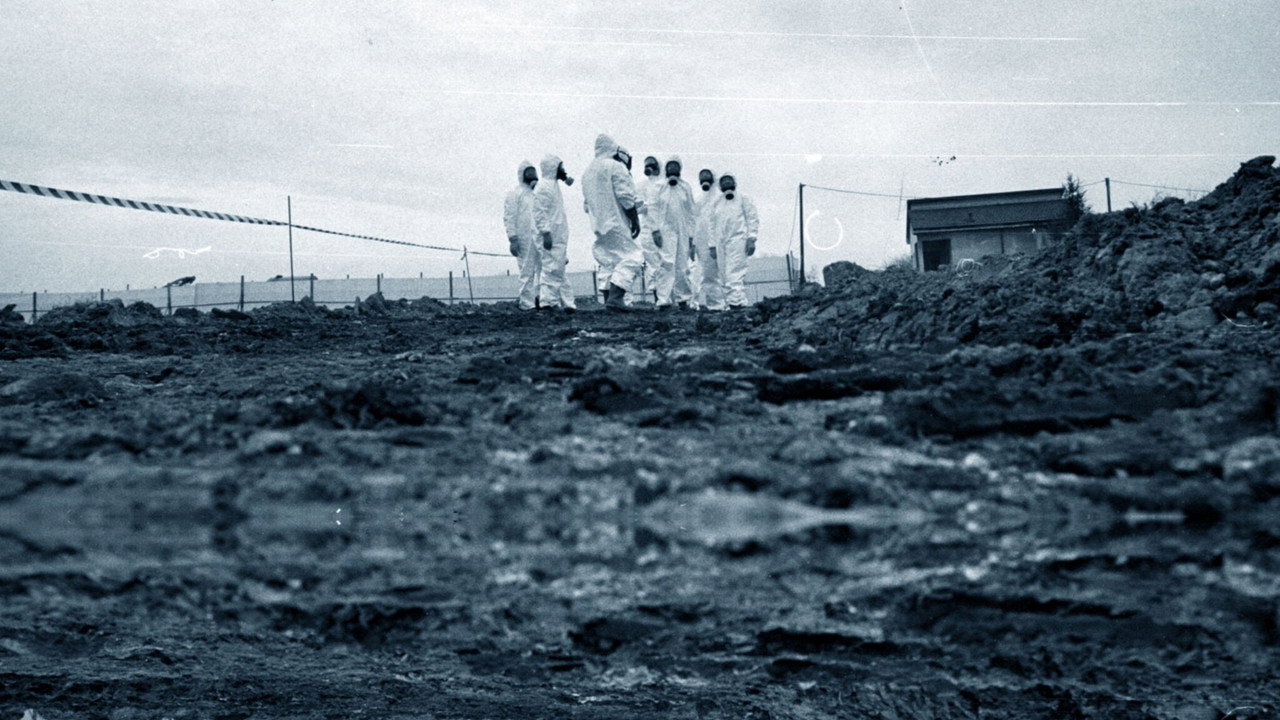 Ossi di Seppia - Il rumore della memoria backdrop
