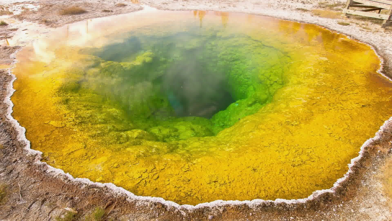 Ancient Yellowstone backdrop