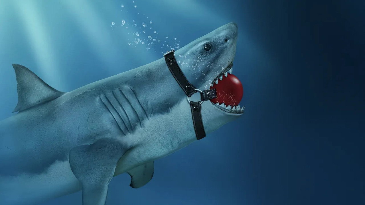 Shark Lords backdrop
