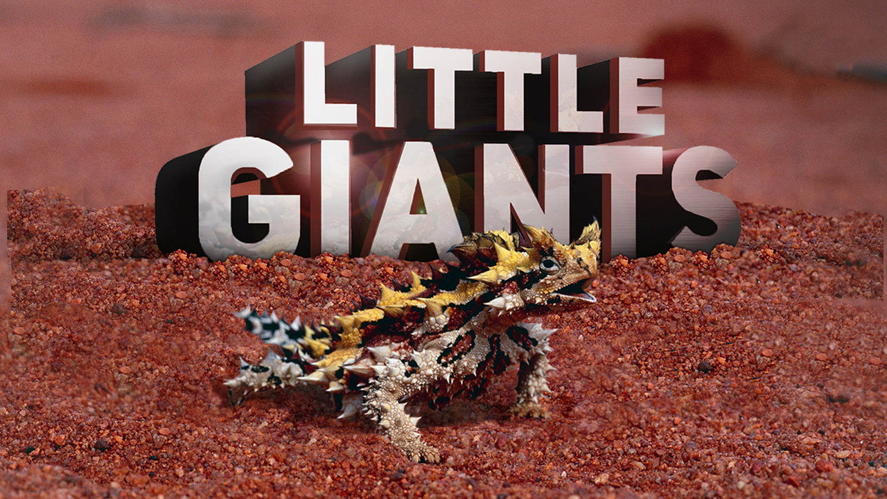 Little Giants backdrop