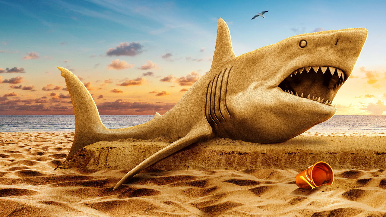 Shark Week backdrop