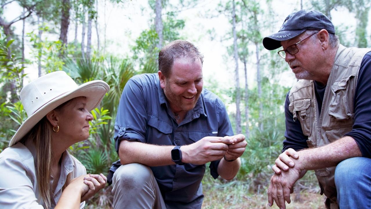 Chasing Everglades