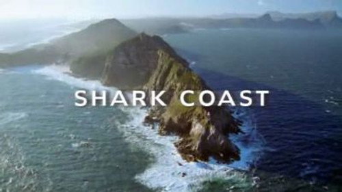 Natural World Season 23 Episode 10 - Shark Coast