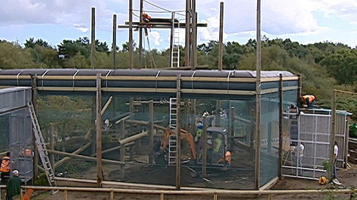 Monkey Business Season 9 Episode 12 - Episode 12