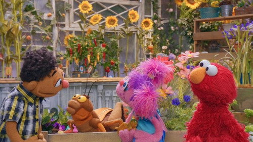 Sesame Street Season 54 Episode 34 - The Mystery Cricket